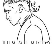 Coloriage Affiche de Haaland