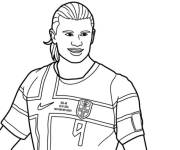 Coloriage Haaland en petite section