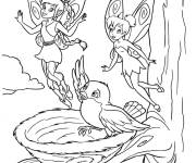 Coloriage Deux fées en parlant avec l'oiseau
