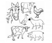 Coloriage Ferme et animaux en couleur