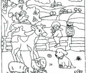 Coloriage Ferme et compagne
