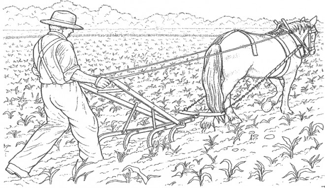 Coloriage Fermier laboure la terre dessin gratuit à imprimer