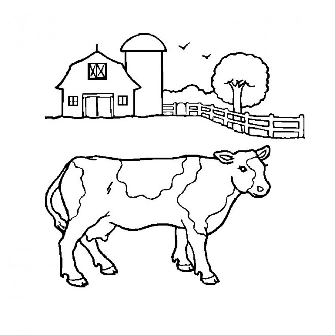 Coloriage et dessins gratuits Une vache de ferme à imprimer