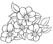 Coloriage Fleuriste 13