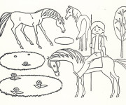 Coloriage Chevaux indiens