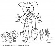 Coloriage Cochon jardinier