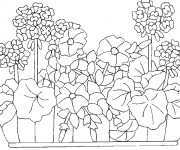 Coloriage Jardin fleuri