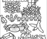 Coloriage Jardin potager