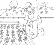 Coloriage Jardinier dans son petit jardin