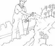 Coloriage Jardinier et arrosage de jardin