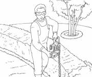 Coloriage Jardinier taille les c&egrave;dres