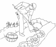 Coloriage Temps de la moisson