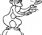 Coloriage Le Singe Jongleur