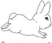 Coloriage Romain Le Lapin Magicien