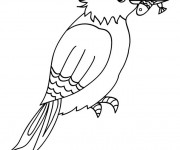 Coloriage Oiseau P&ecirc;cheur