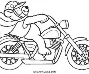 Coloriage Ours en moto