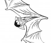 Coloriage et dessins gratuit Vampire chauve souris à imprimer