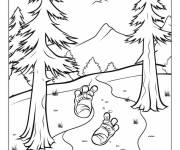 Coloriage Les pas de Y&eacute;ti dans la foret
