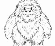 Coloriage Portrait d'un Y&eacute;ti