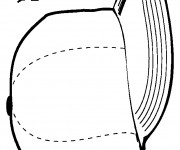 Coloriage Casquette de Baseball