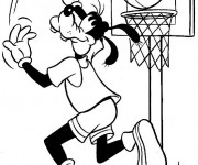 Coloriage Dingo Basketteur