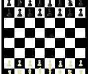 Coloriage Aper&ccedil;u d'&eacute;chiquier en noir et blanc