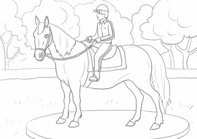 Coloriage Cavalier et cheval dessiné dessin gratuit à imprimer