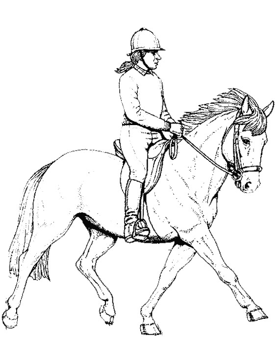 Coloriage Cavalier Sur Cheval Dessin Gratuit A Imprimer