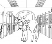 Coloriage Fille et Cheval dessin gratuit à imprimer