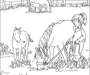 Coloriage Les chevaux mangent en plein air