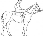 Coloriage Sports &eacute;questres facile
