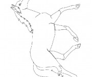 Coloriage Un cheval qui galope