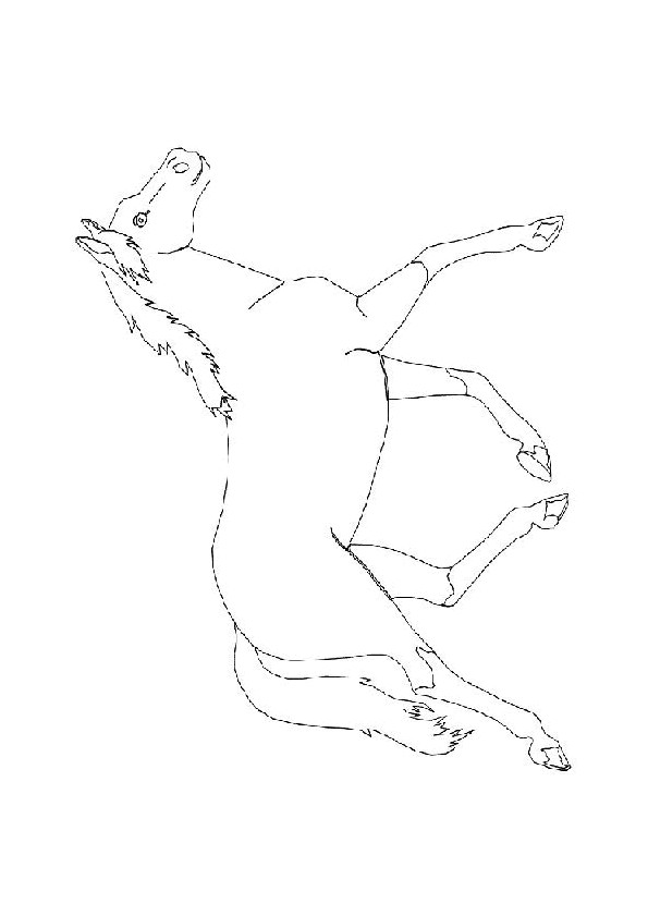 Coloriage Un cheval qui galope dessin gratuit à imprimer