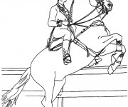 Coloriage Un cheval tout en sautant