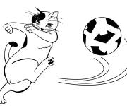 Coloriage Un chat footballeur