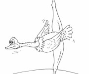 Coloriage Autruche Gymnaste humoristique