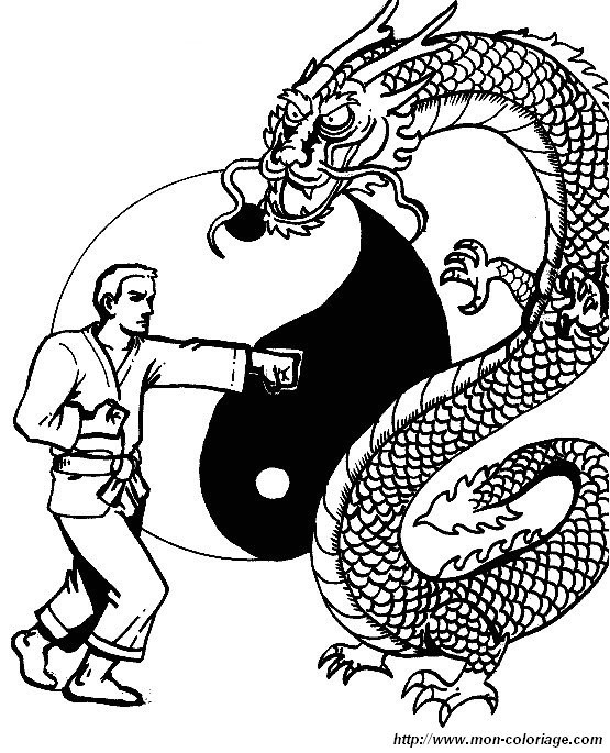 The Martial Arts Kid Free Online The Martial Arts Kid Free Online