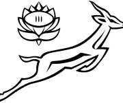 Coloriage Equipe d'Afrique du sud de rugby