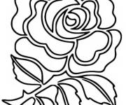 Coloriage Equipe d'Angleterre de rugby