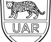 Coloriage Equipe d'Argentine de rugby