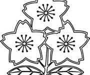 Coloriage Equipe du Japon de rugby