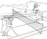 Coloriage Match de Tennis entre Les Pingouins