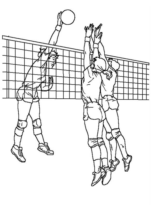 Coloriage Ballon Au Filet De Volleyball Dessin Gratuit A Imprimer
