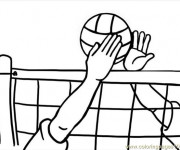 Coloriage Volleyball &agrave; t&eacute;l&eacute;charger