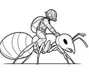 Coloriage Ant-Man avec l'insecte de son &eacute;quipe
