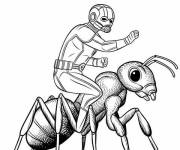 Coloriage et dessins gratuit Ant-Man chevauchant une fourmi g&eacute;ante à imprimer