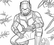 Coloriage Ant-Man entour&eacute; par plusieurs fourmis