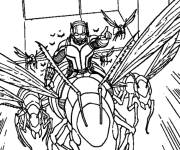 Coloriage Ant-Man et Antomy