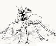 Coloriage Ant-Man et fourmi d&eacute;taill&eacute;