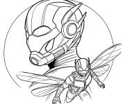 Coloriage Ant-Man et la gu&ecirc;pe en vecteur